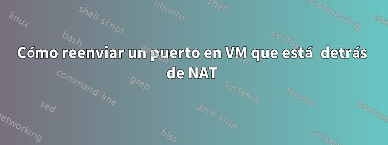 Cómo reenviar un puerto en VM que está detrás de NAT