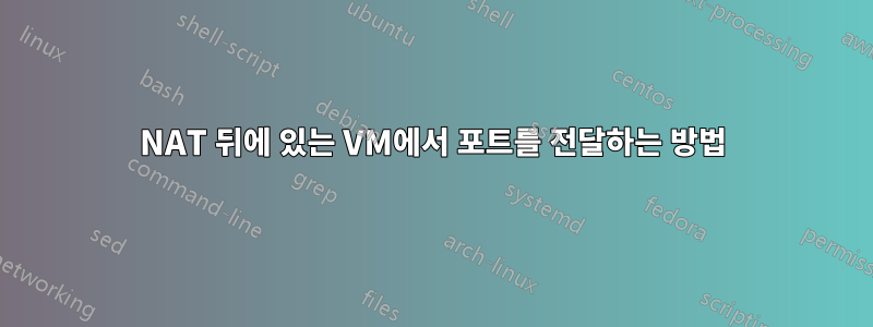 NAT 뒤에 있는 VM에서 포트를 전달하는 방법