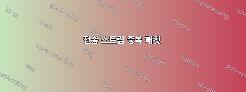 전송 스트림 중복 패킷