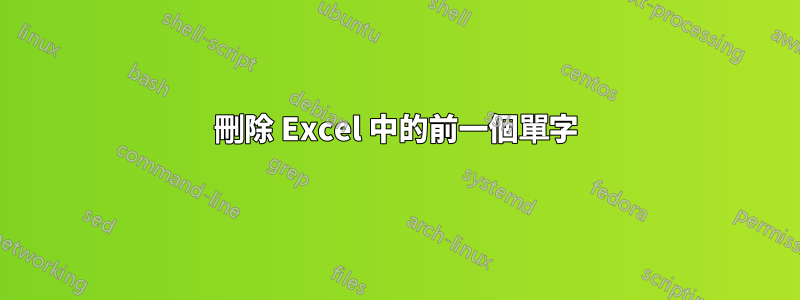 刪除 Excel 中的前一個單字