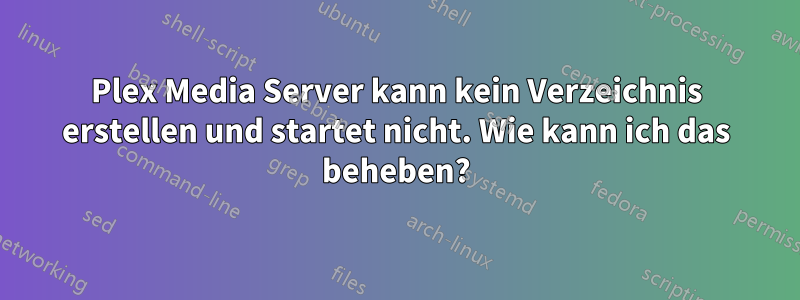 Plex Media Server kann kein Verzeichnis erstellen und startet nicht. Wie kann ich das beheben?