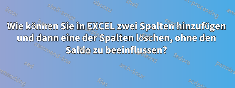 Wie können Sie in EXCEL zwei Spalten hinzufügen und dann eine der Spalten löschen, ohne den Saldo zu beeinflussen?