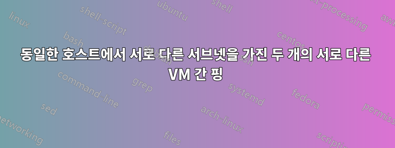 동일한 호스트에서 서로 다른 서브넷을 가진 두 개의 서로 다른 VM 간 핑