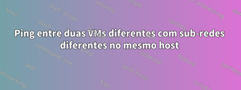 Ping entre duas VMs diferentes com sub-redes diferentes no mesmo host