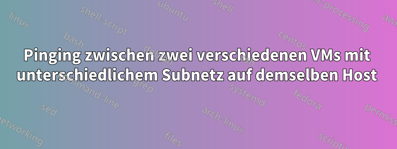 Pinging zwischen zwei verschiedenen VMs mit unterschiedlichem Subnetz auf demselben Host