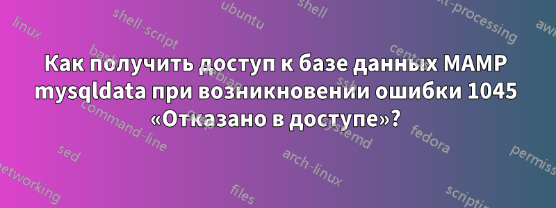 Как получить доступ к базе данных MAMP mysqldata при возникновении ошибки 1045 «Отказано в доступе»?