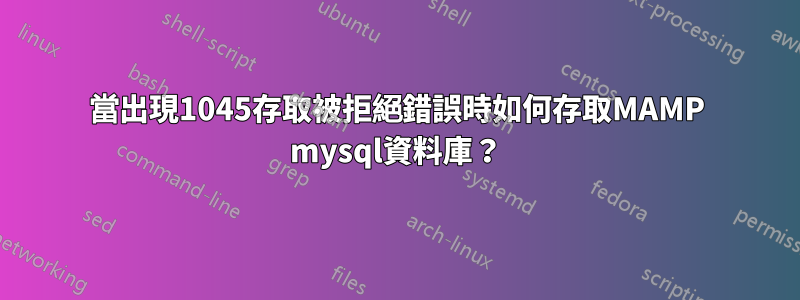 當出現1045存取被拒絕錯誤時如何存取MAMP mysql資料庫？