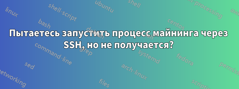 Пытаетесь запустить процесс майнинга через SSH, но не получается?