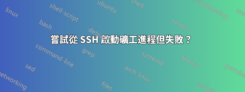 嘗試從 SSH 啟動礦工進程但失敗？