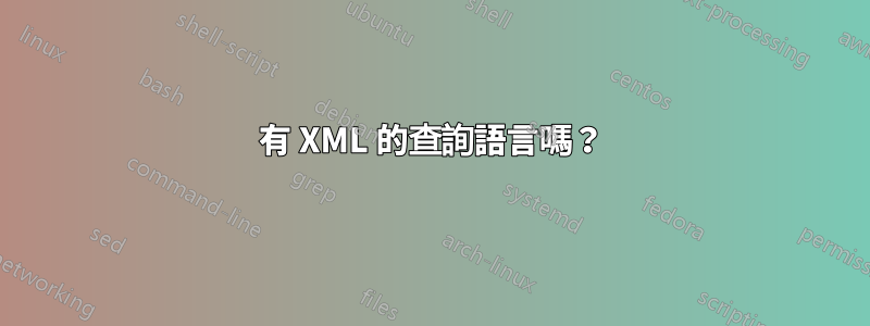 有 XML 的查詢語言嗎？