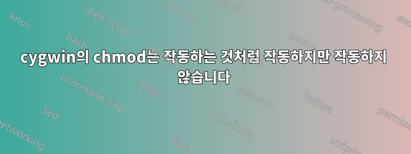 cygwin의 chmod는 작동하는 것처럼 작동하지만 작동하지 않습니다