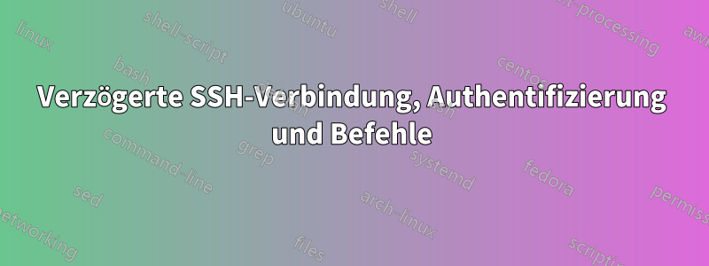 Verzögerte SSH-Verbindung, Authentifizierung und Befehle