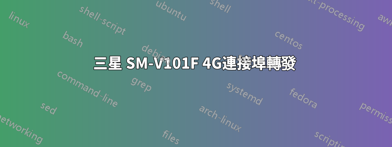 三星 SM-V101F 4G連接埠轉發