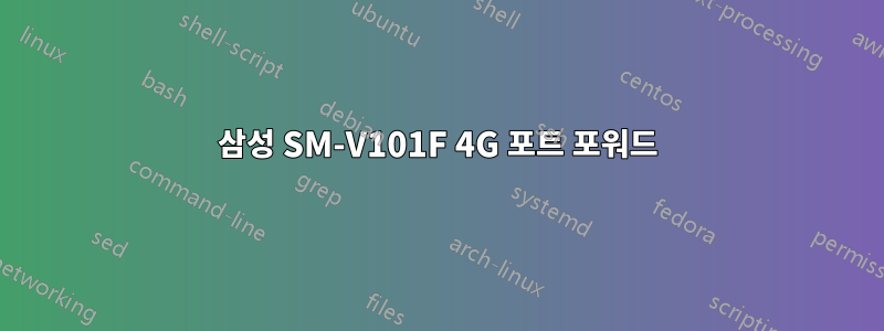 삼성 SM-V101F 4G 포트 포워드