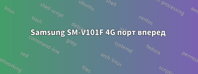 Samsung SM-V101F 4G порт вперед