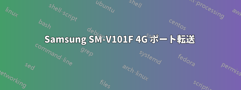 Samsung SM-V101F 4G ポート転送