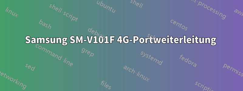 Samsung SM-V101F 4G-Portweiterleitung