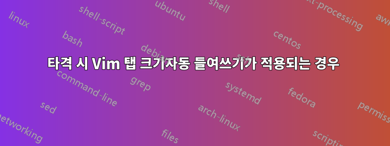 타격 시 Vim 탭 크기자동 들여쓰기가 적용되는 경우