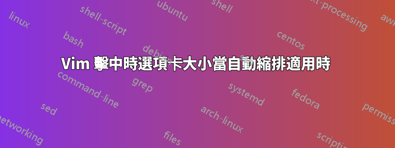 Vim 擊中時選項卡大小當自動縮排適用時