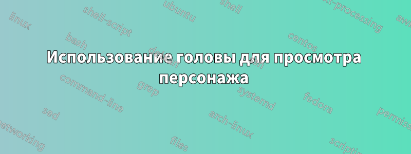 Использование головы для просмотра персонажа