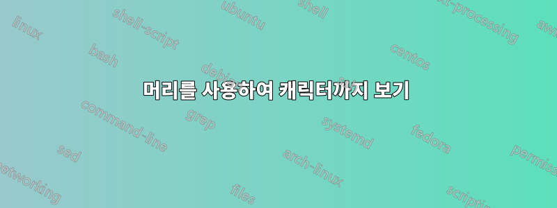 머리를 사용하여 캐릭터까지 보기