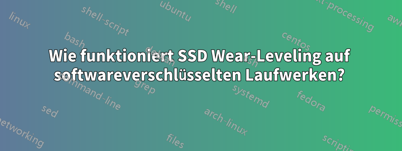 Wie funktioniert SSD Wear-Leveling auf softwareverschlüsselten Laufwerken?