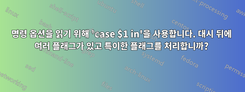 명령 옵션을 읽기 위해 'case $1 in'을 사용합니다. 대시 뒤에 여러 플래그가 있고 특이한 플래그를 처리합니까?