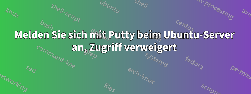 Melden Sie sich mit Putty beim Ubuntu-Server an, Zugriff verweigert