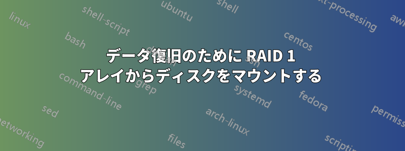 データ復旧のために RAID 1 アレイからディスクをマウントする