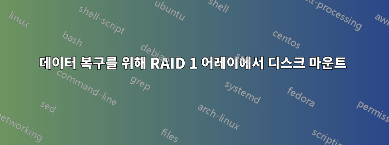 데이터 복구를 위해 RAID 1 어레이에서 디스크 마운트