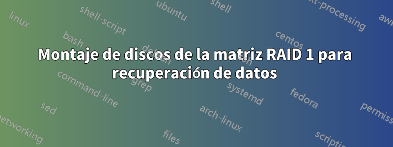 Montaje de discos de la matriz RAID 1 para recuperación de datos