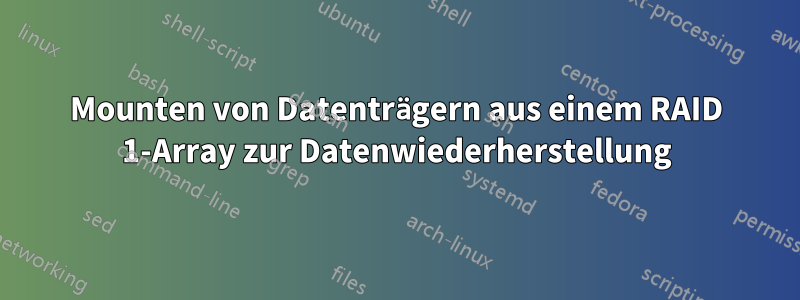 Mounten von Datenträgern aus einem RAID 1-Array zur Datenwiederherstellung