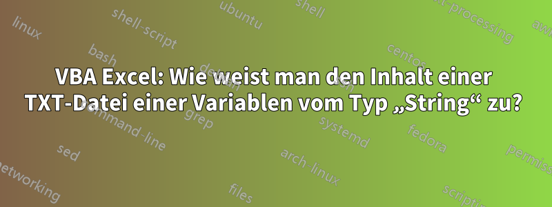 VBA Excel: Wie weist man den Inhalt einer TXT-Datei einer Variablen vom Typ „String“ zu?