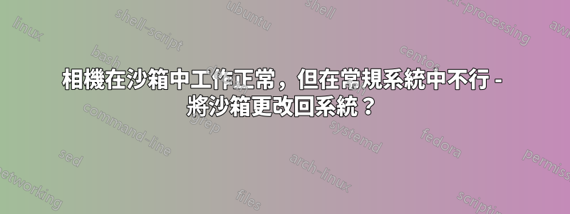 相機在沙箱中工作正常，但在常規系統中不行 - 將沙箱更改回系統？