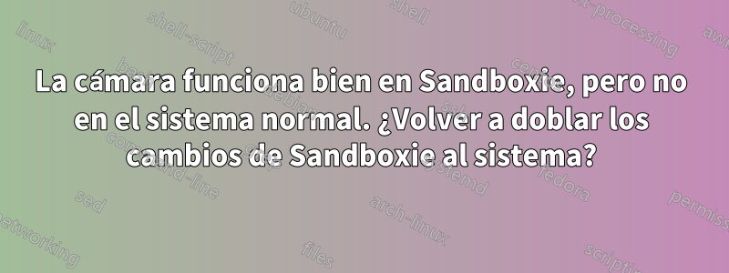 La cámara funciona bien en Sandboxie, pero no en el sistema normal. ¿Volver a doblar los cambios de Sandboxie al sistema?