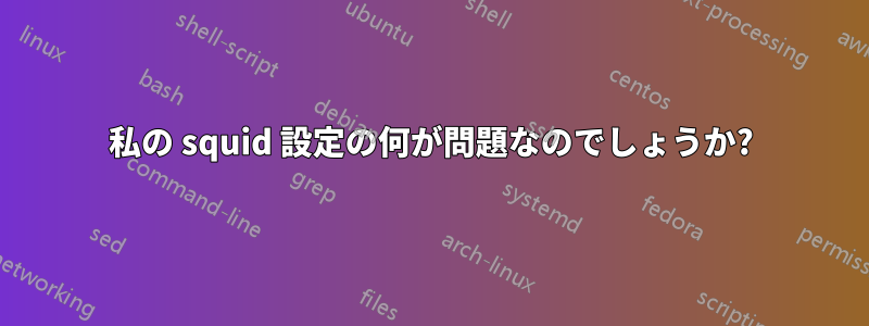 私の squid 設定の何が問題なのでしょうか?