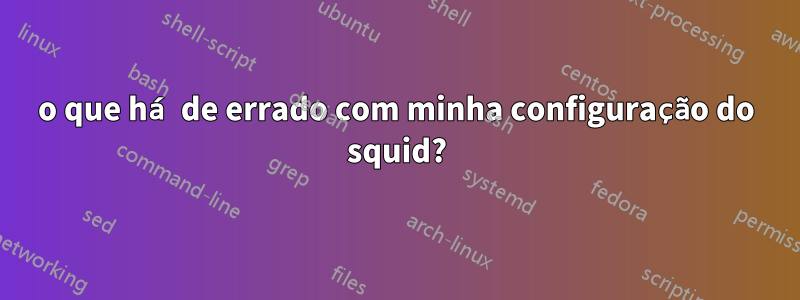 o que há de errado com minha configuração do squid?