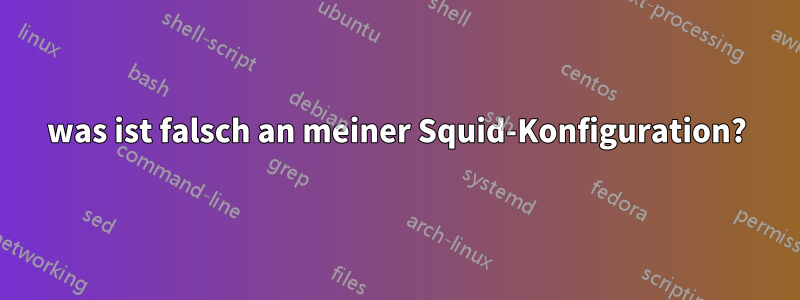 was ist falsch an meiner Squid-Konfiguration?