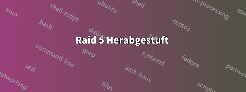 Raid 5 Herabgestuft