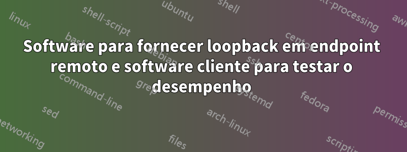 Software para fornecer loopback em endpoint remoto e software cliente para testar o desempenho