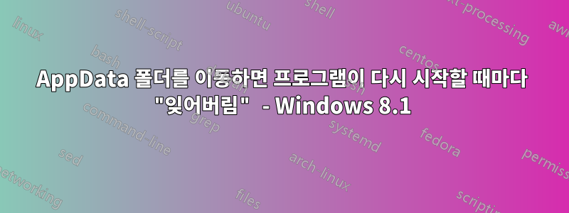 AppData 폴더를 이동하면 프로그램이 다시 시작할 때마다 "잊어버림" - Windows 8.1