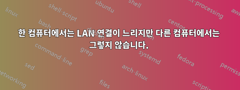 한 컴퓨터에서는 LAN 연결이 느리지만 다른 컴퓨터에서는 그렇지 않습니다.