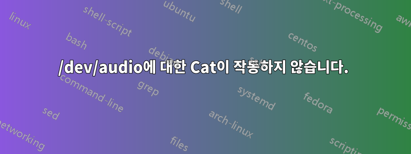 /dev/audio에 대한 Cat이 작동하지 않습니다.