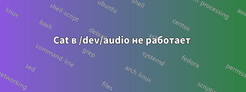 Cat в /dev/audio не работает