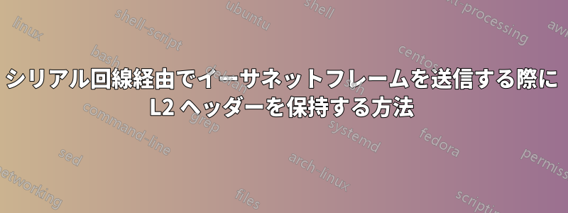 シリアル回線経由でイーサネットフレームを送信する際に L2 ヘッダーを保持する方法