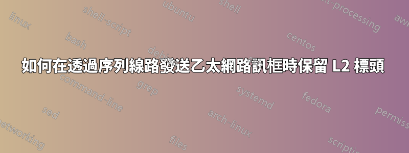 如何在透過序列線路發送乙太網路訊框時保留 L2 標頭