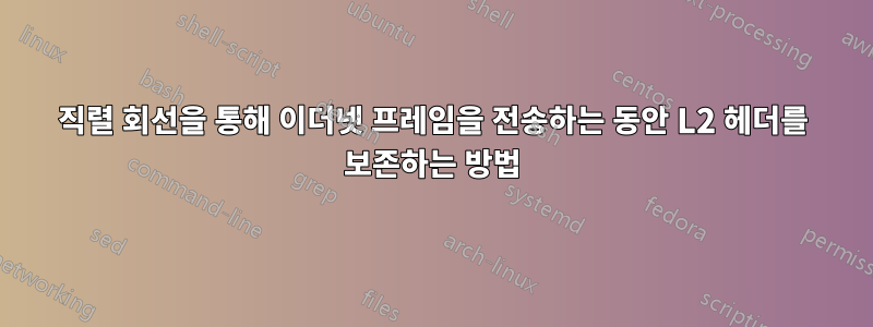 직렬 회선을 통해 이더넷 프레임을 전송하는 동안 L2 헤더를 보존하는 방법