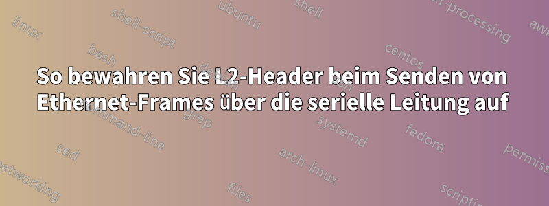 So bewahren Sie L2-Header beim Senden von Ethernet-Frames über die serielle Leitung auf