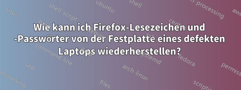 Wie kann ich Firefox-Lesezeichen und -Passwörter von der Festplatte eines defekten Laptops wiederherstellen?