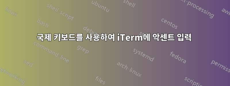 국제 키보드를 사용하여 iTerm에 악센트 입력